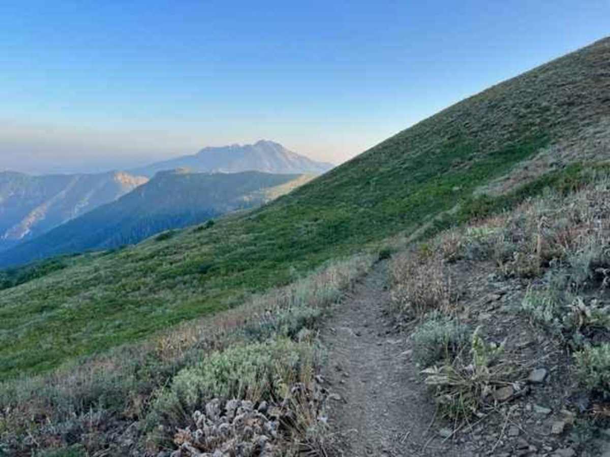Lewis Peak (6041) photo 5