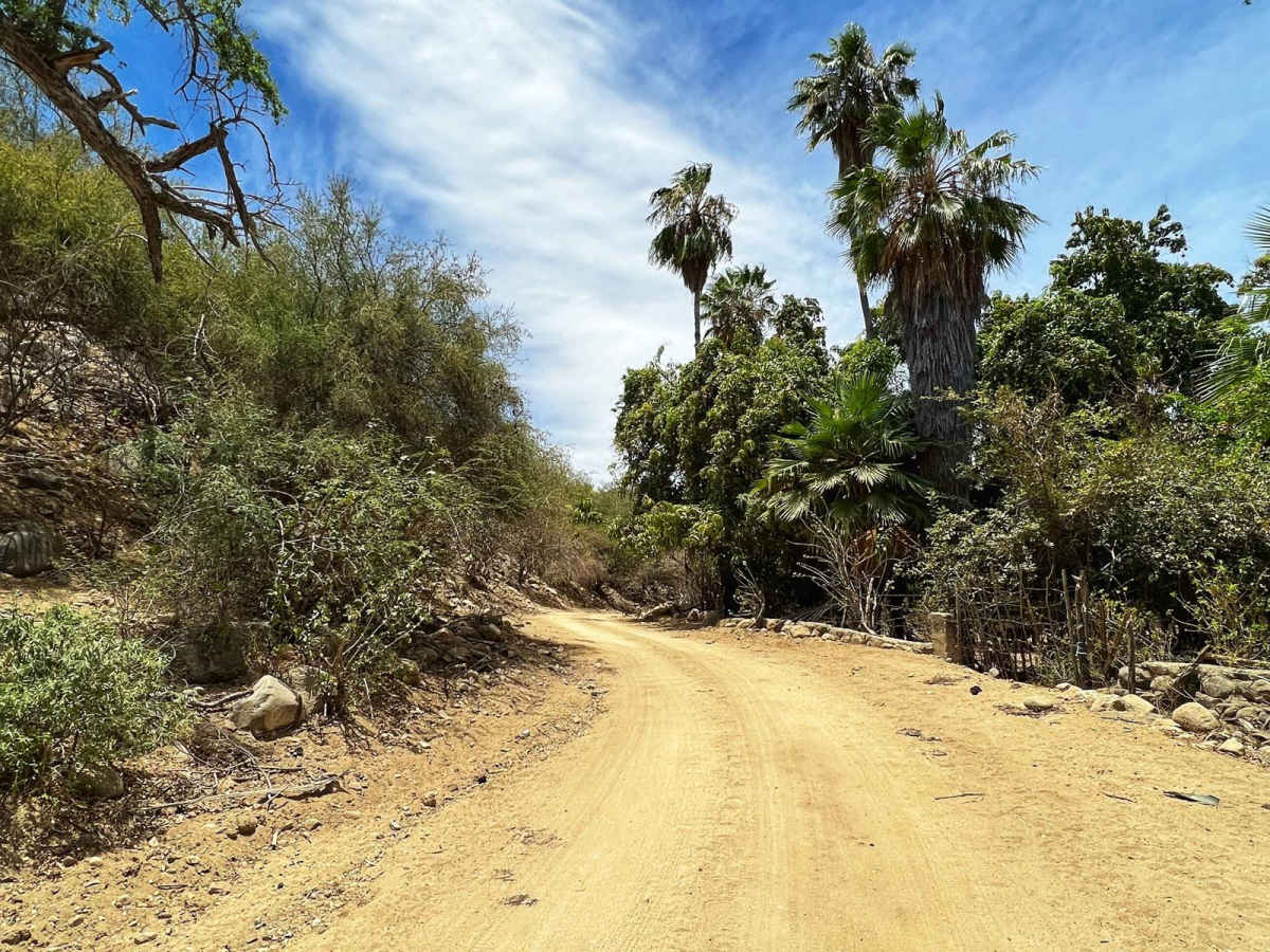 Santiago/Rancho Santa Rita photo 6