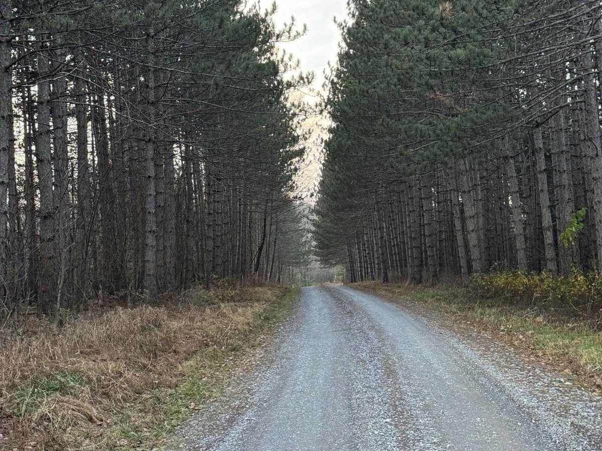 Jews Run Road photo 2