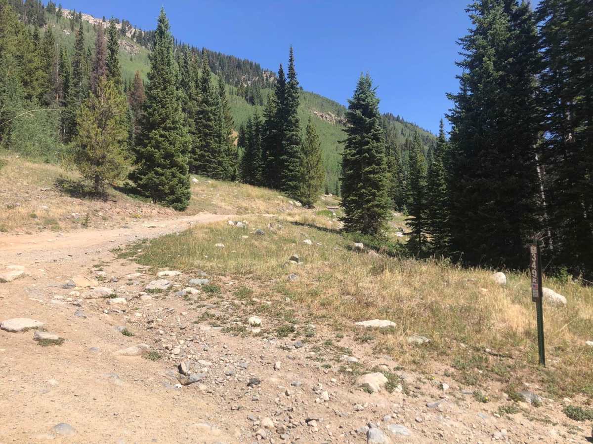 Grassy Gulch Road FS 349 trail photo