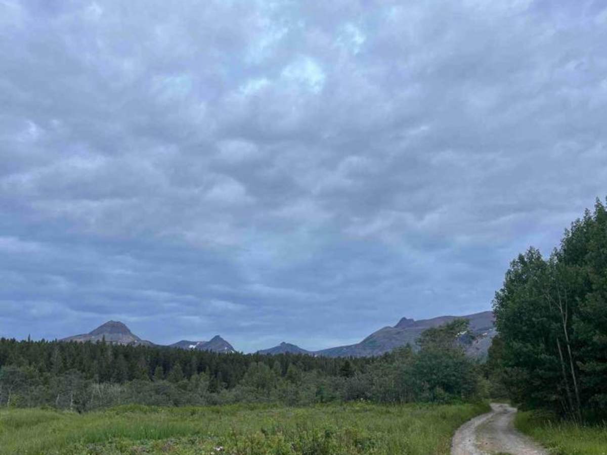 Junior Dam photo 3