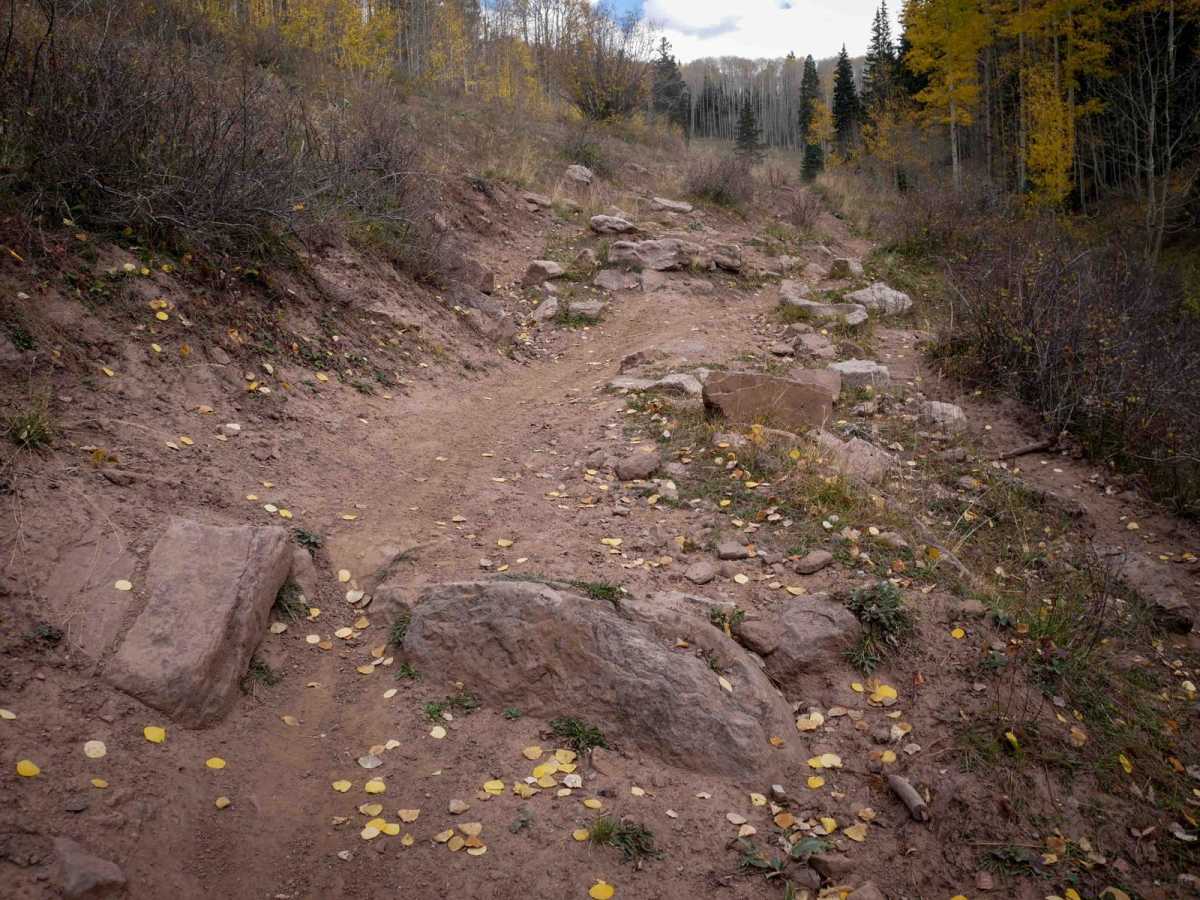 Dutch Creek photo 4