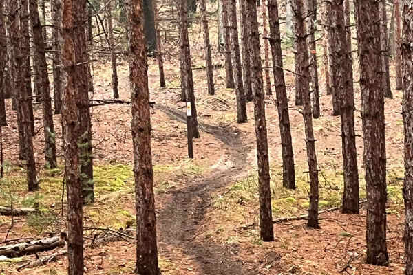 Horseshoe Motorcycle Trail Part 4