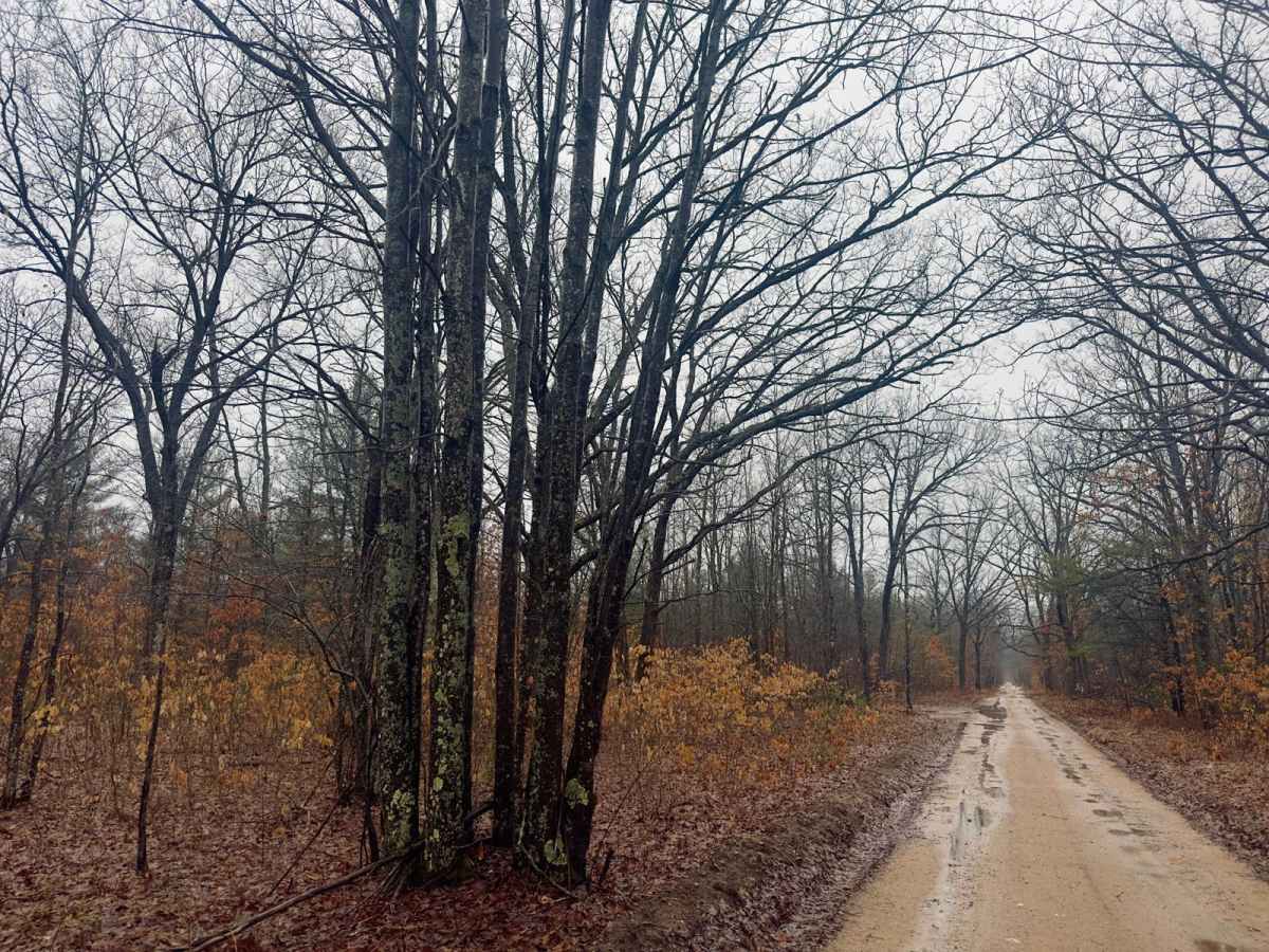 Cedar Creek Rd photo 6