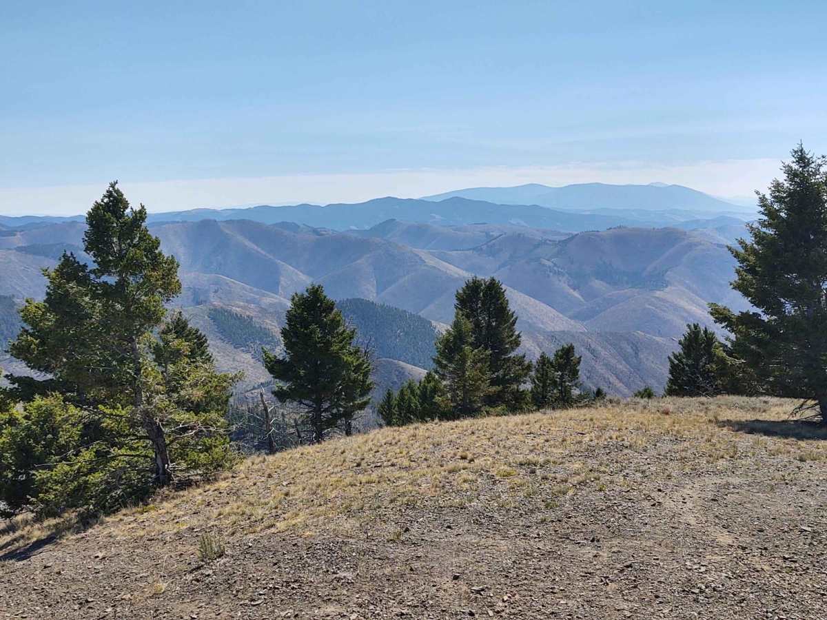 Oregon Gulch photo 4