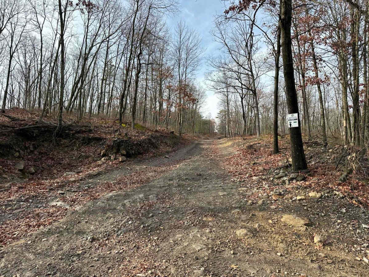 Hill Island Road to Paradise Connector photo 6