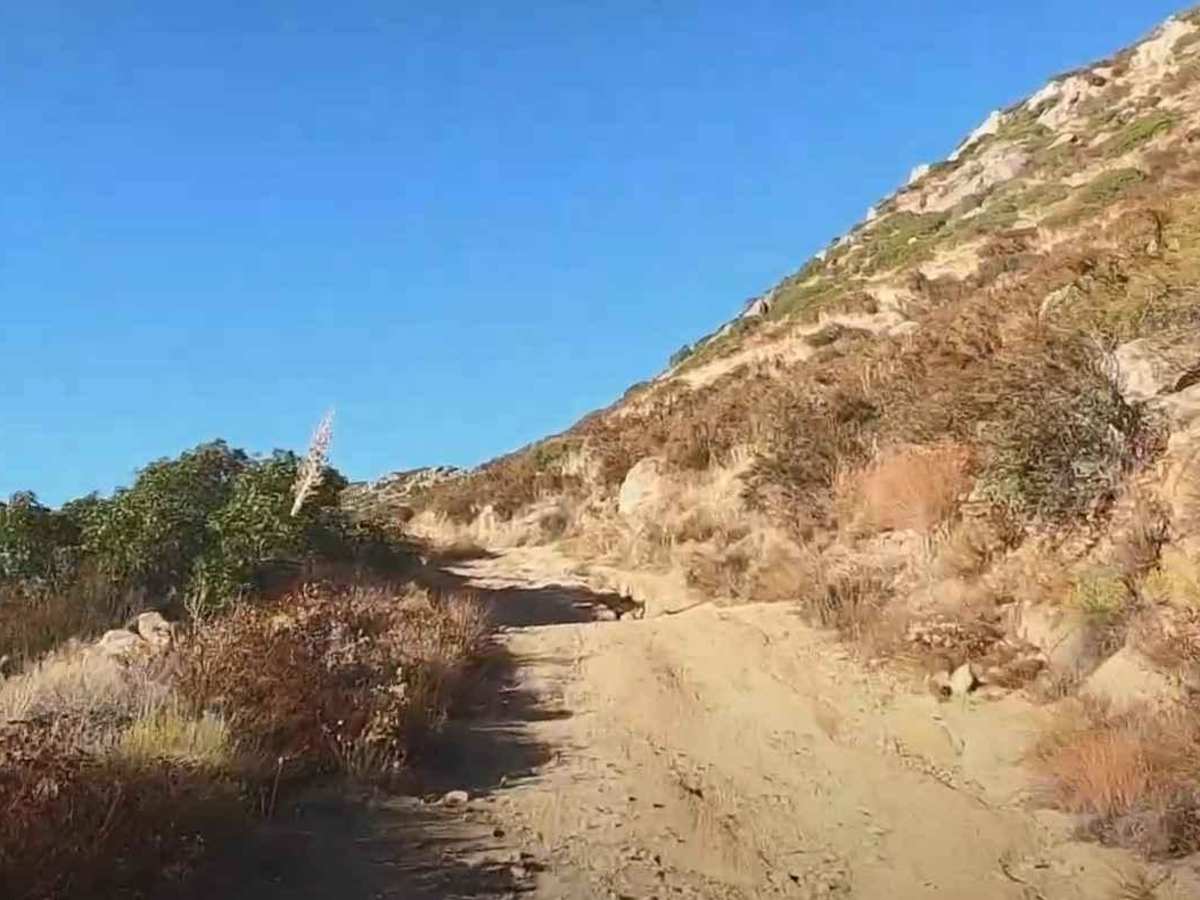 15S18 Sheephead Mountain Road photo 6