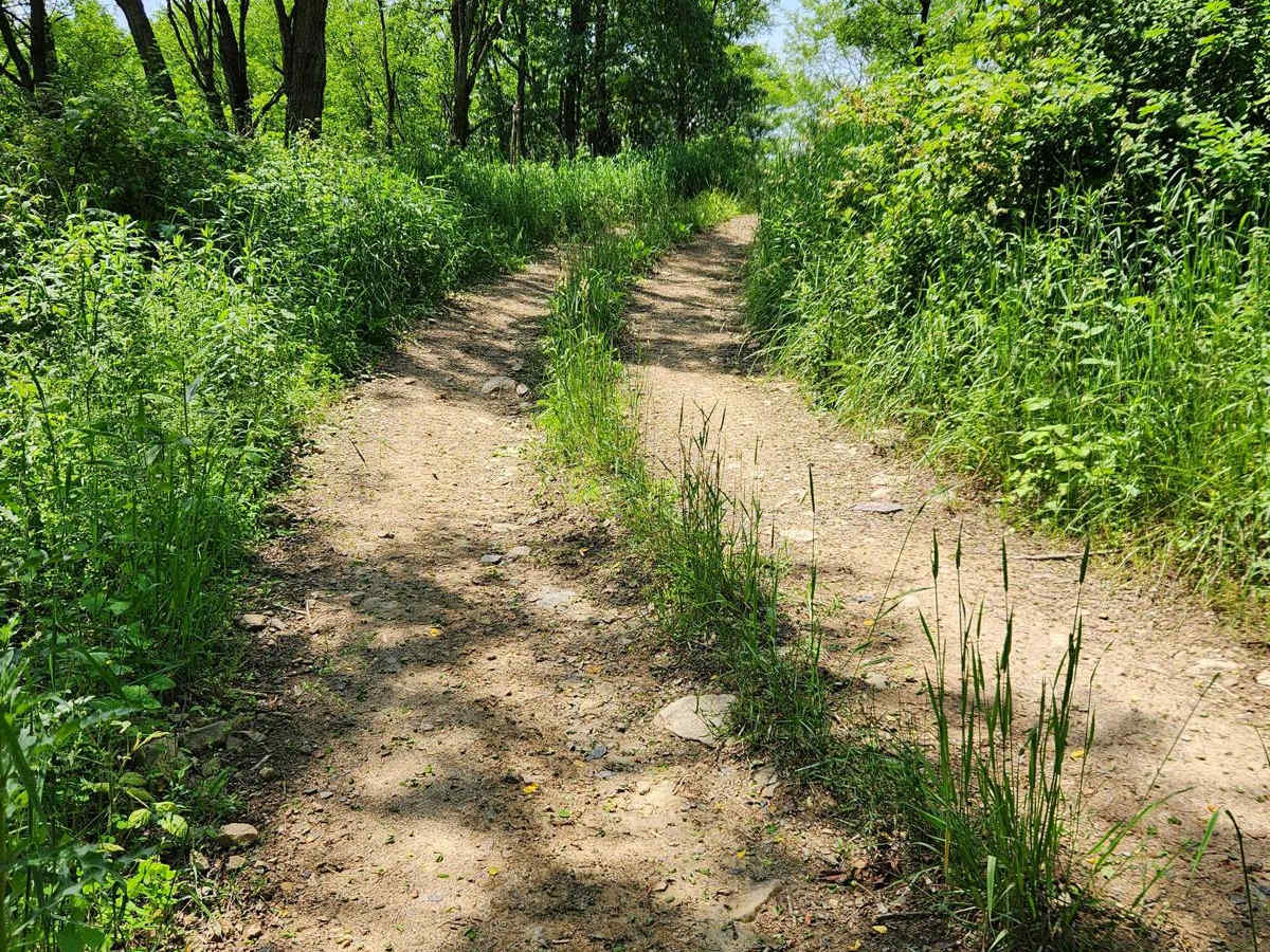 Trail 11J - Rock Run Recreation Area photo 5