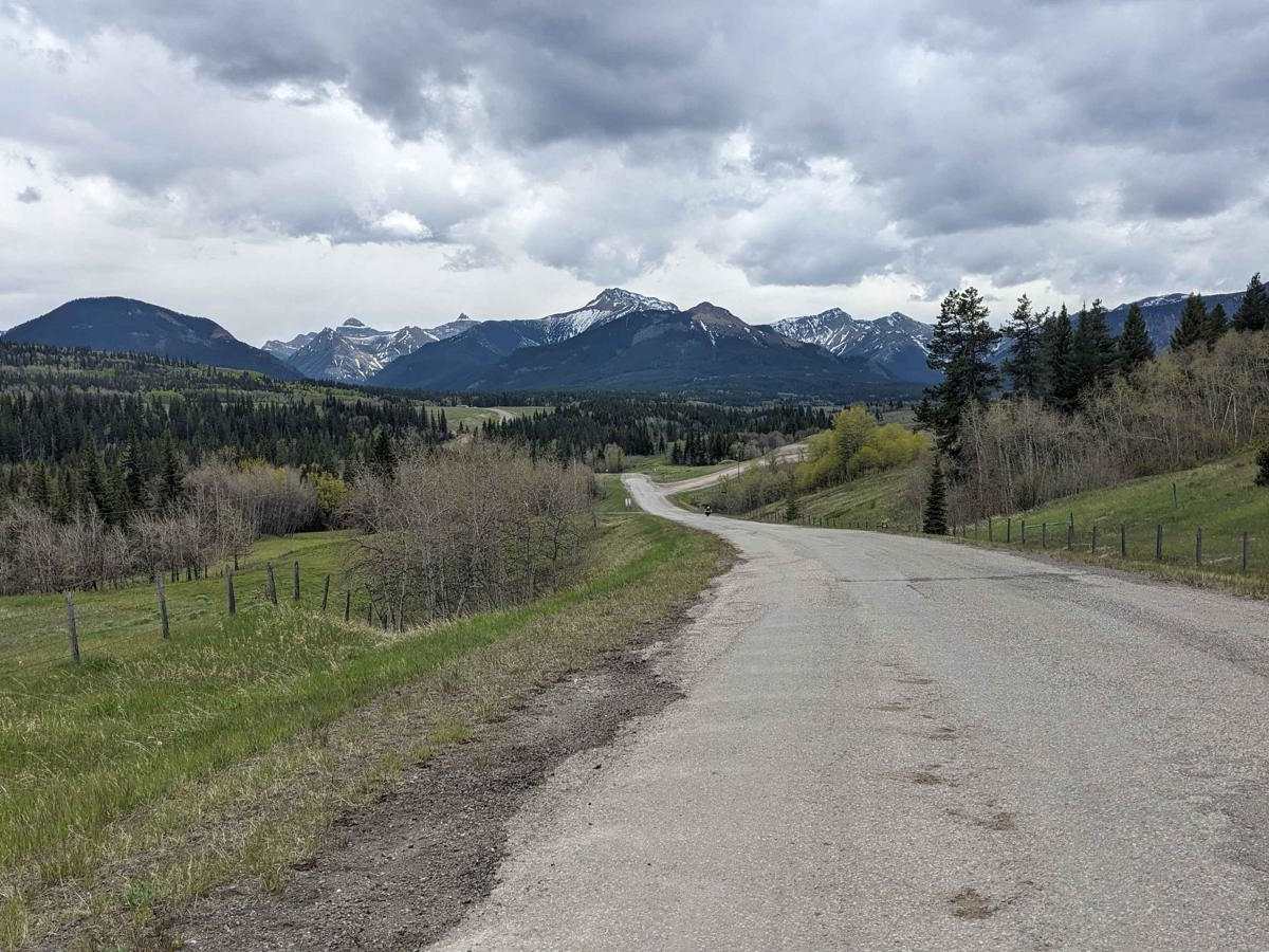 Butcher Lake Road photo 3