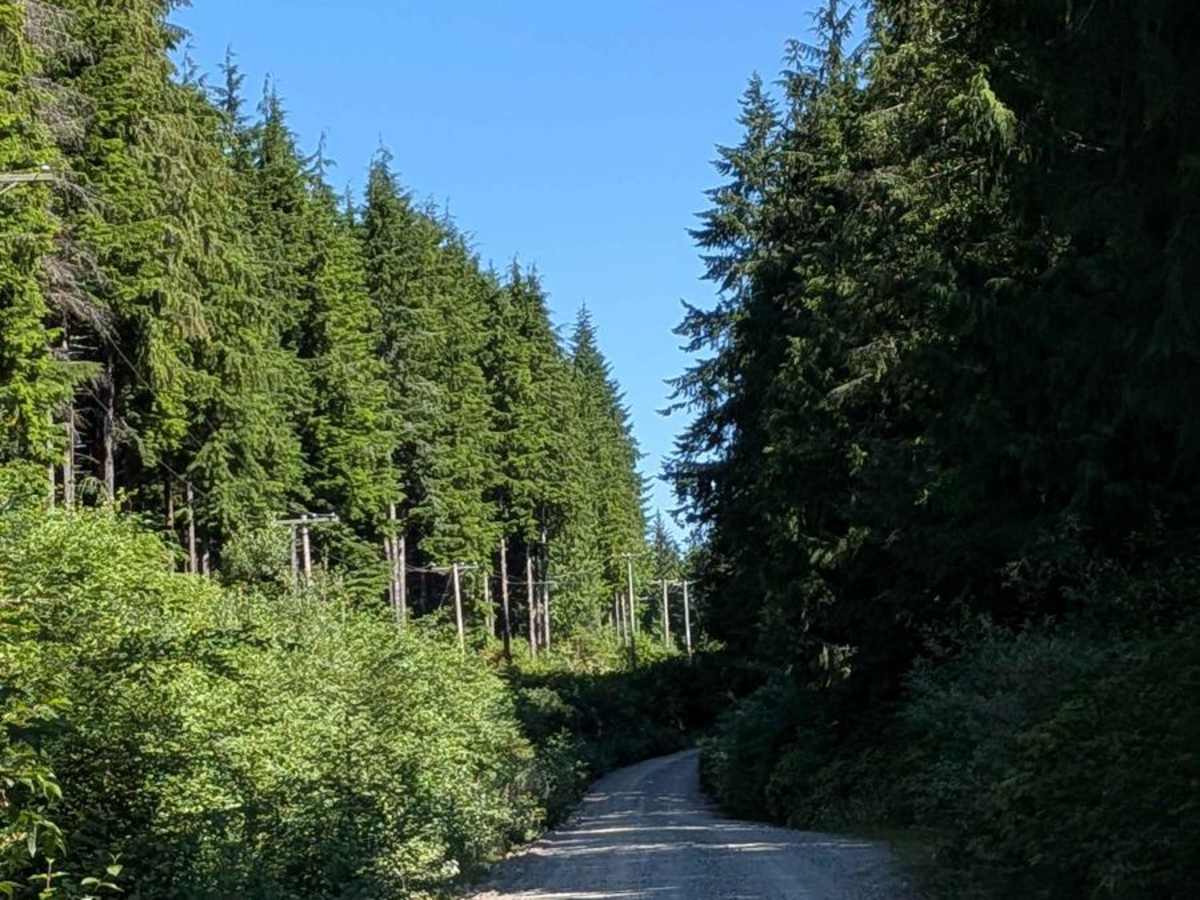 South East Main trail photo