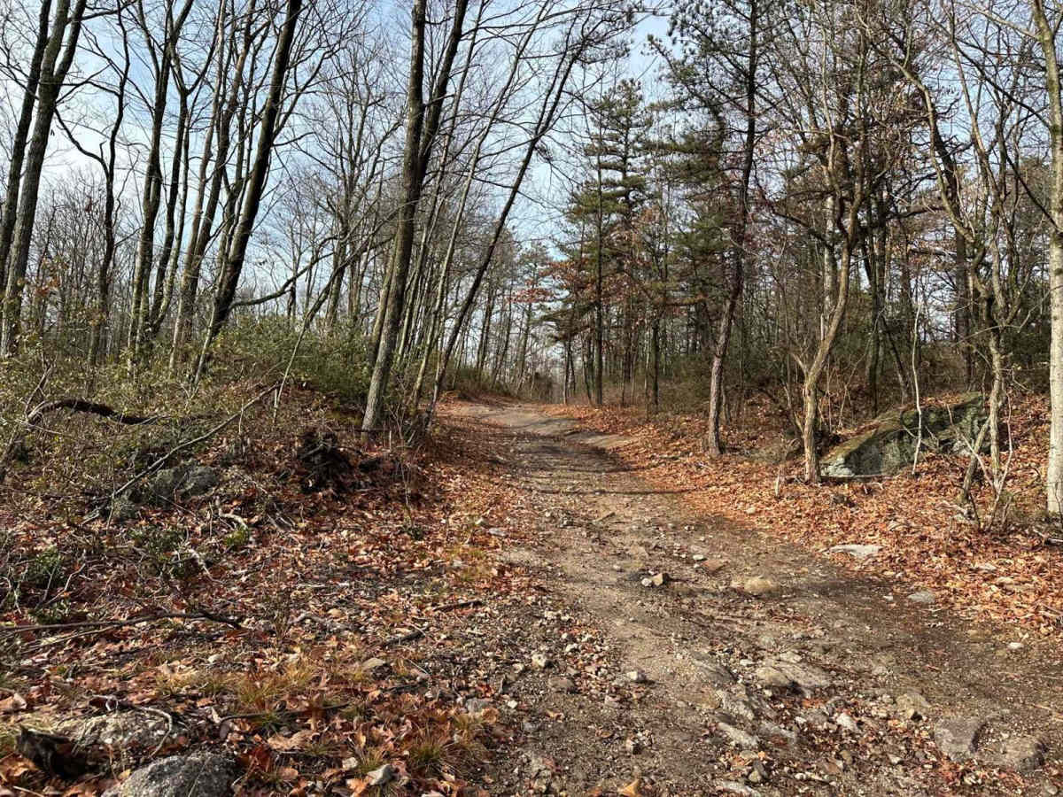 Darkwater 89 trail photo