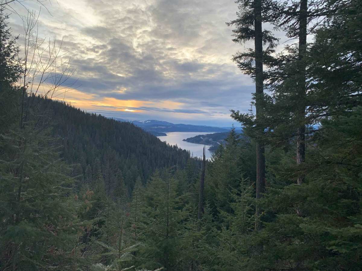 Beauty-Cedar (1575) trail photo