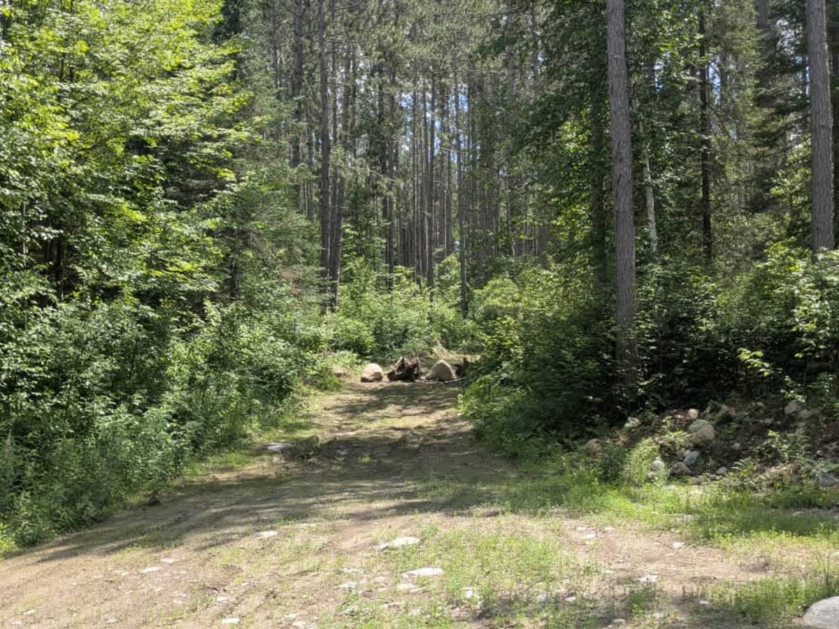 Trigstead East trail photo
