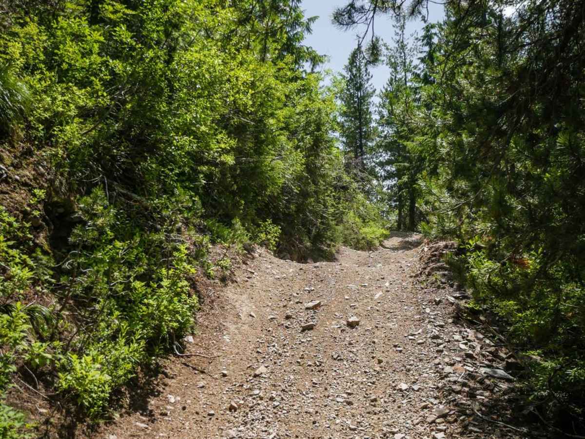 Dam Creek Divide ATV photo 4