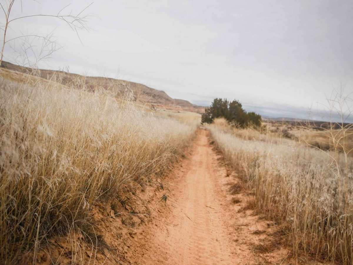 Trail 6 photo 6