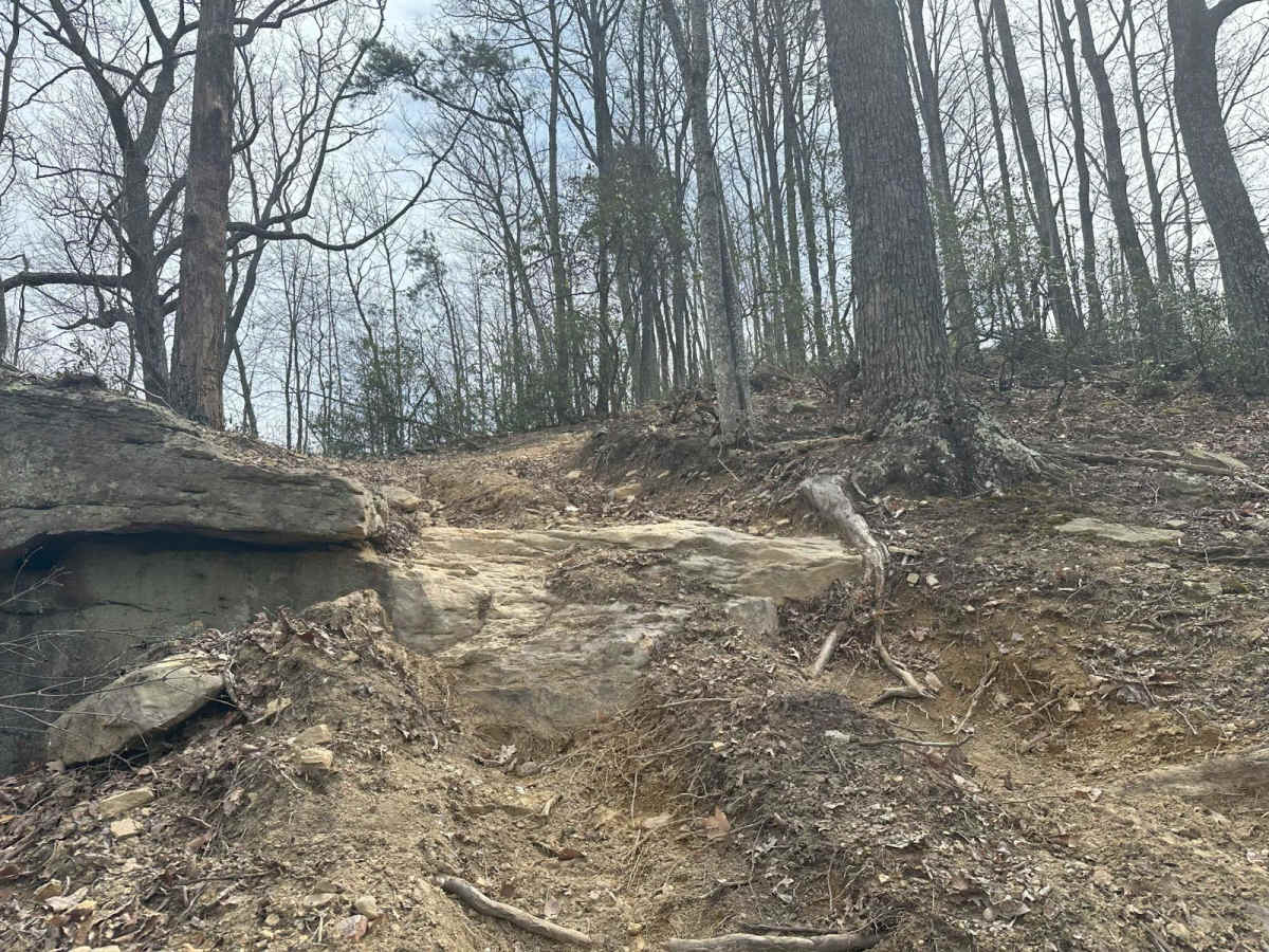 103B trail photo