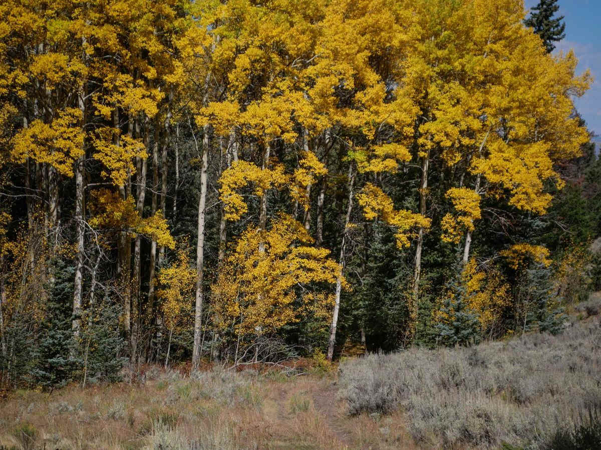 643 ATV Trail trail photo