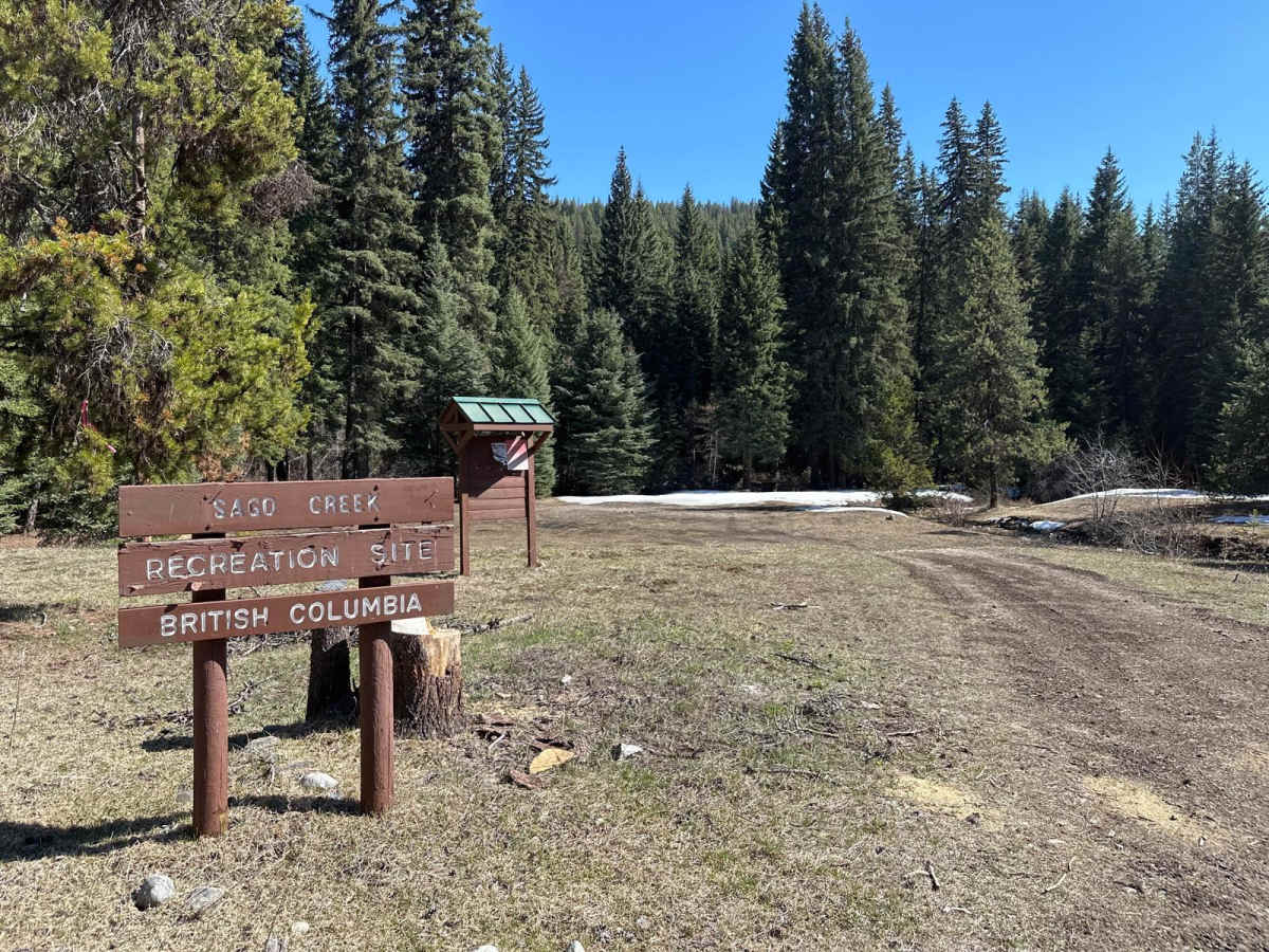 Beaverdell Main trail photo
