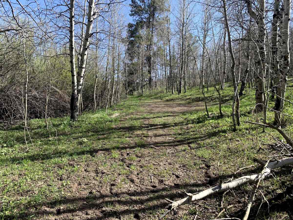 Wahlstrom Fork photo 6