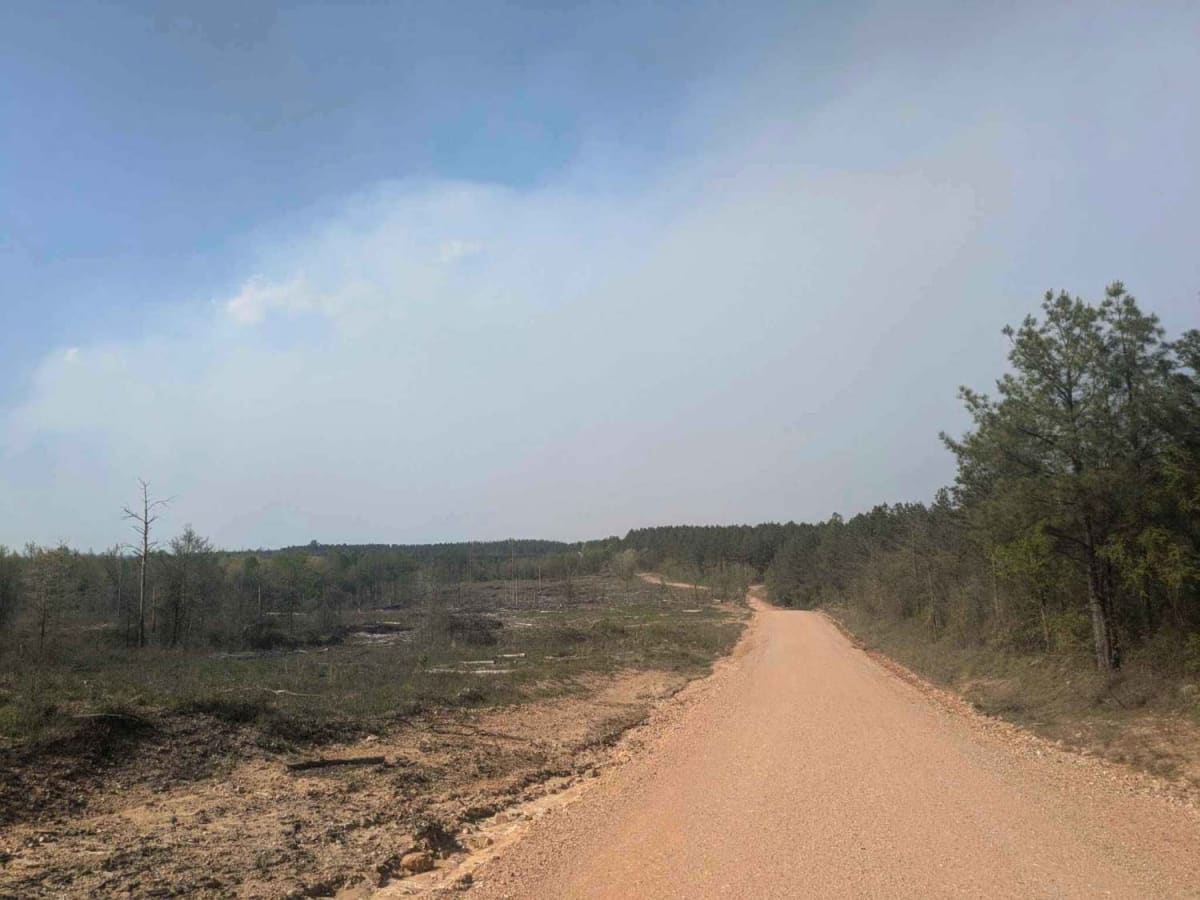 Tableville Road photo 6