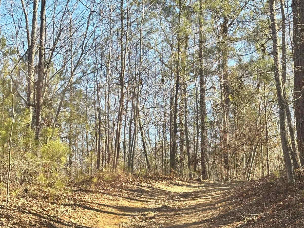 45A trail photo