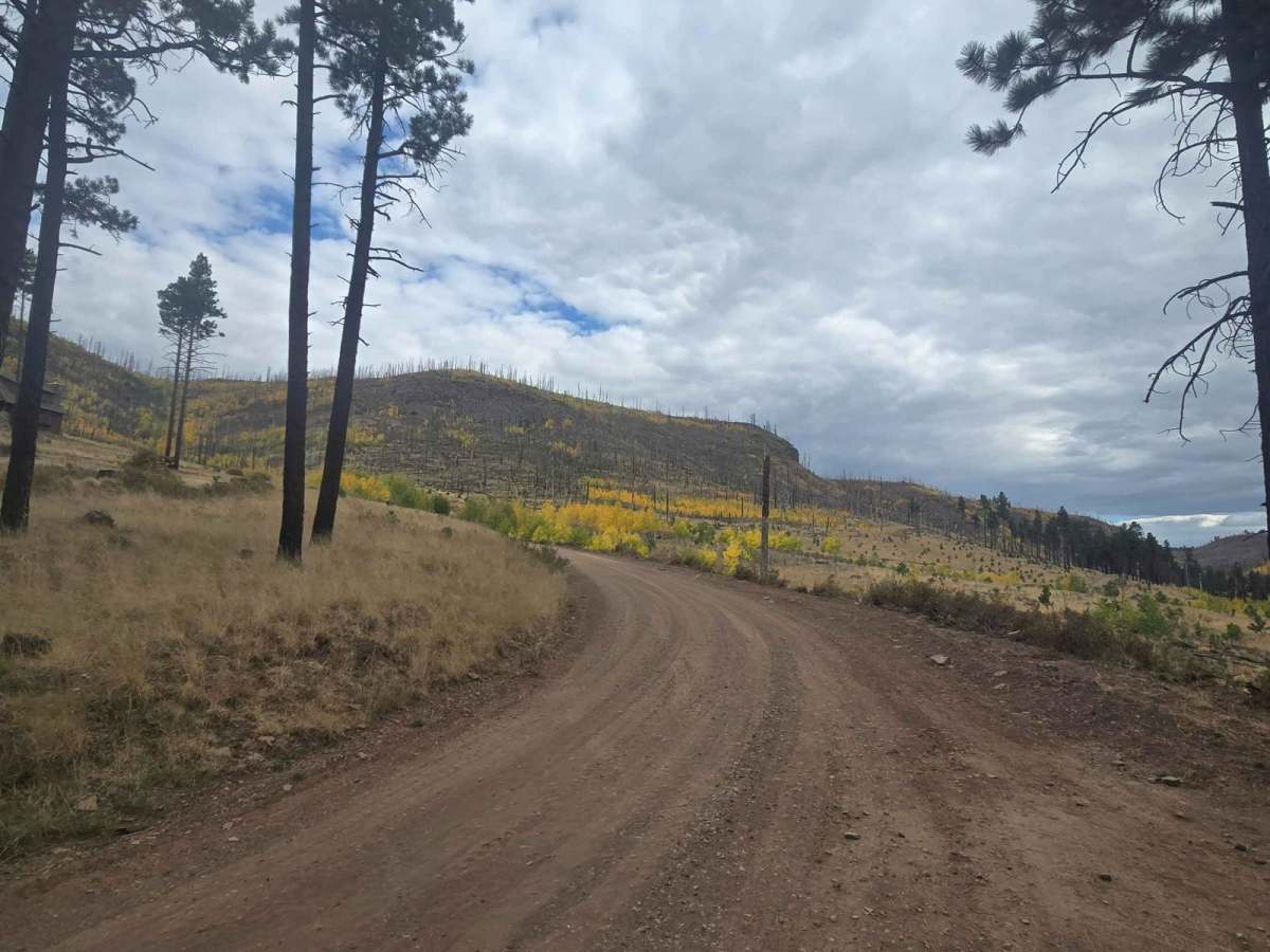 East Fork photo 6