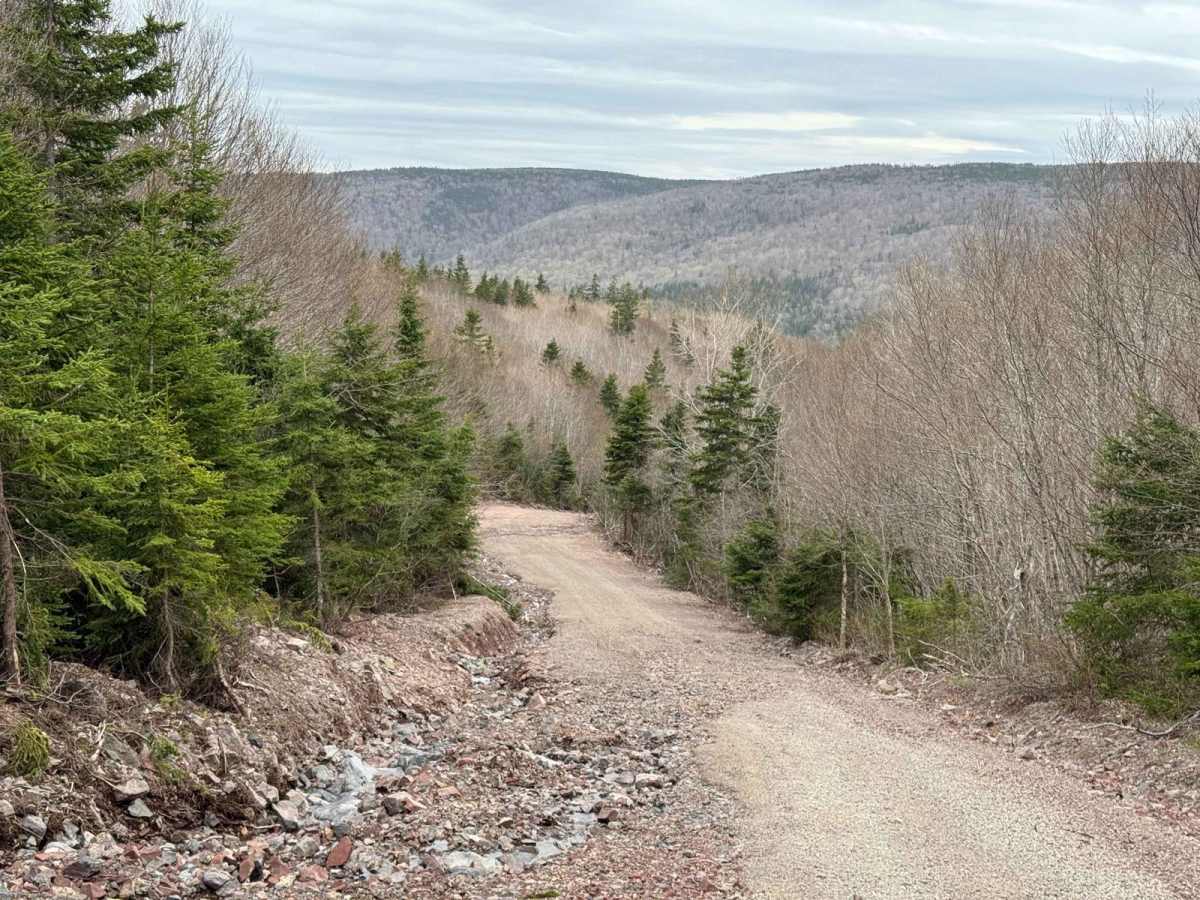 Park Spur Road trail photo