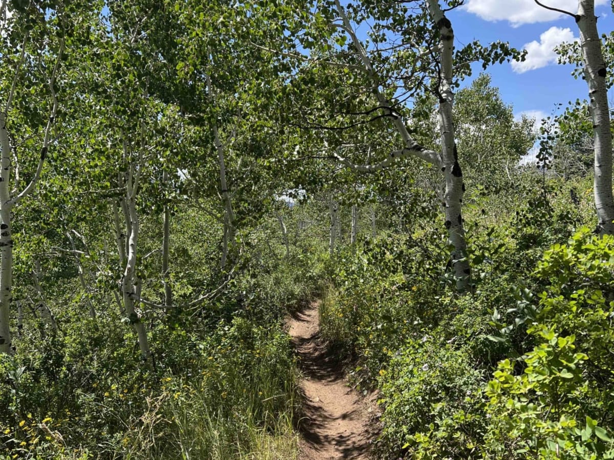 Mill Canyon (2040) photo 5