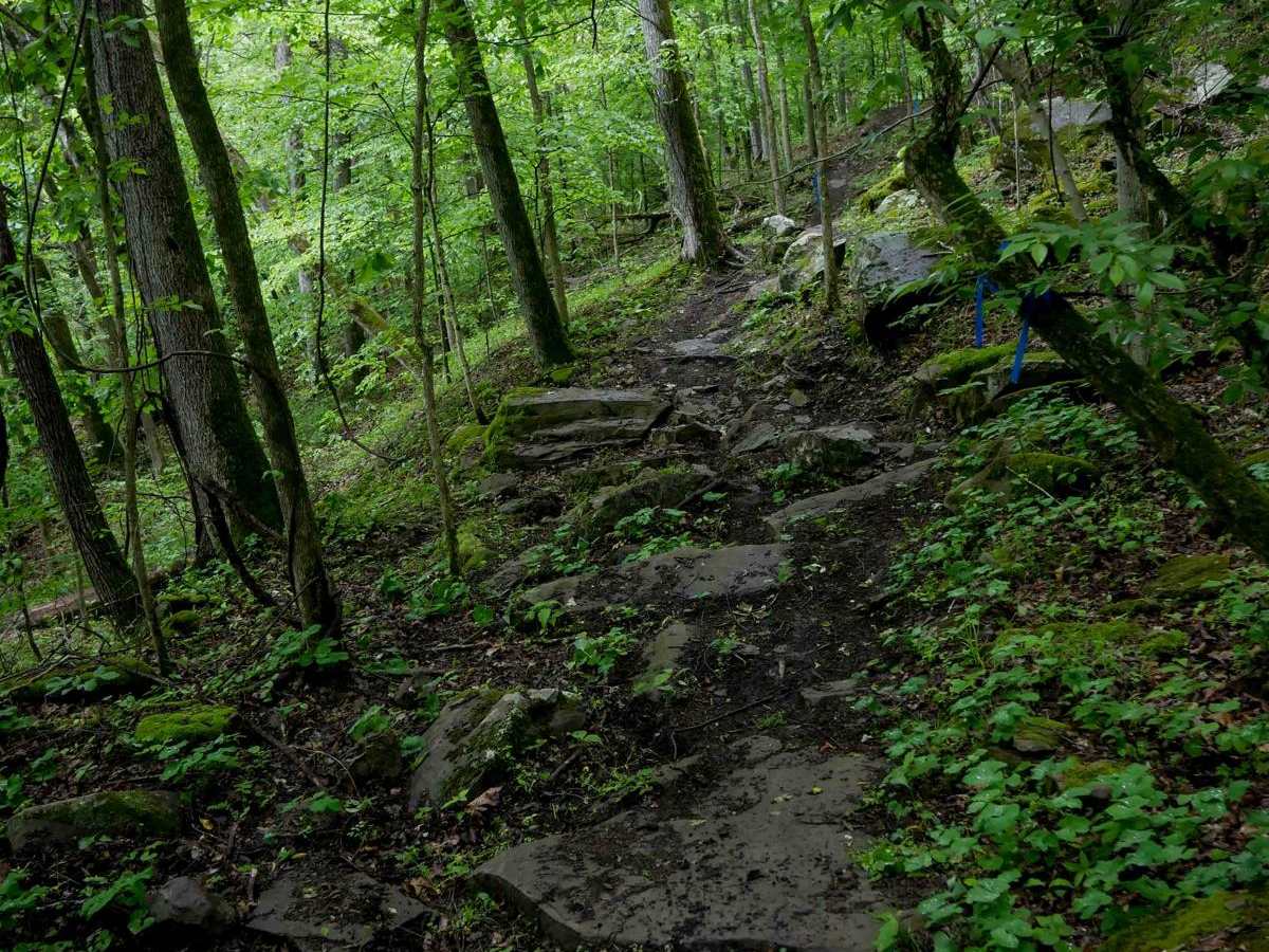 T92 trail photo