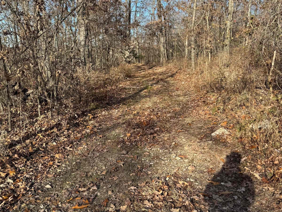Green 256 trail photo