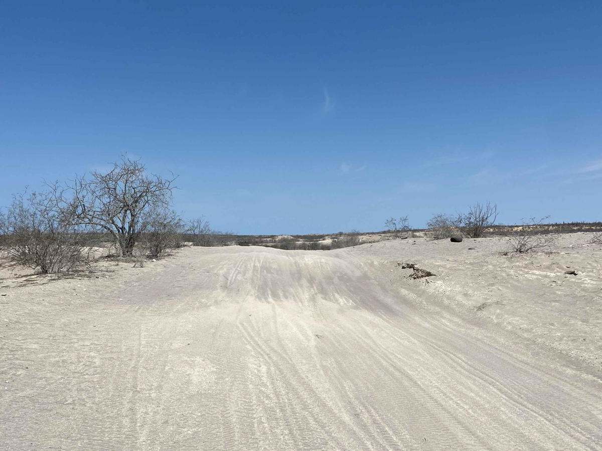 Santa Rita Loop photo 2
