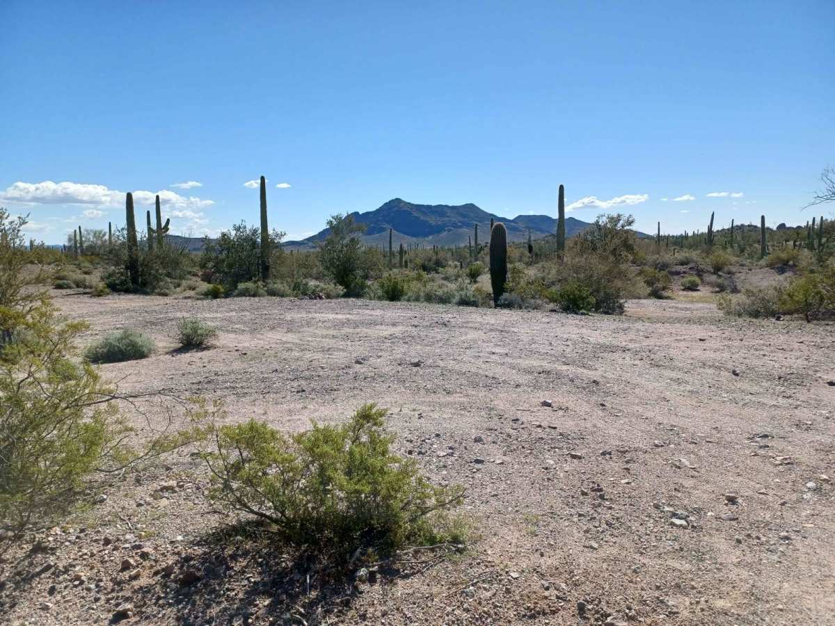 8113B Cemetery Road photo 2