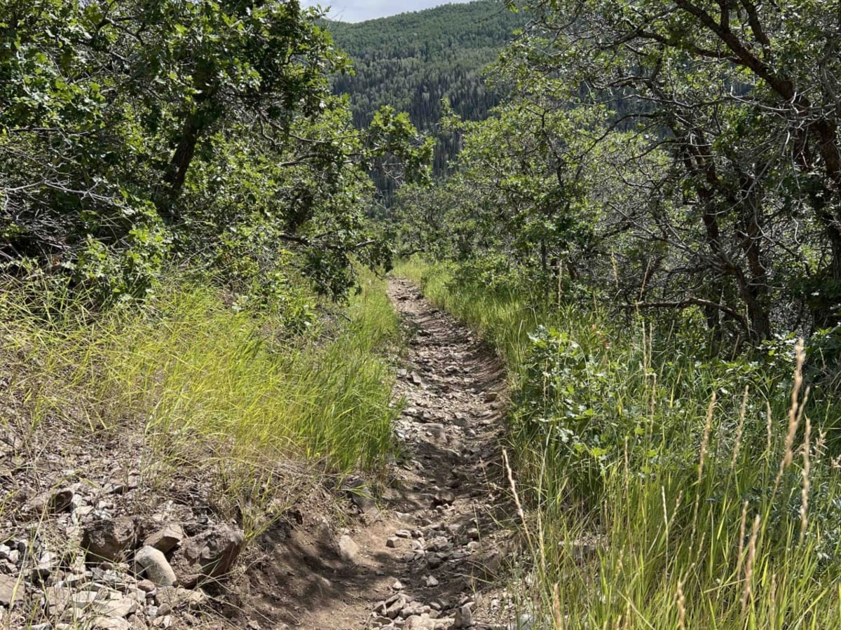 Holman Ridge-Cabin Flat (2172) photo 5