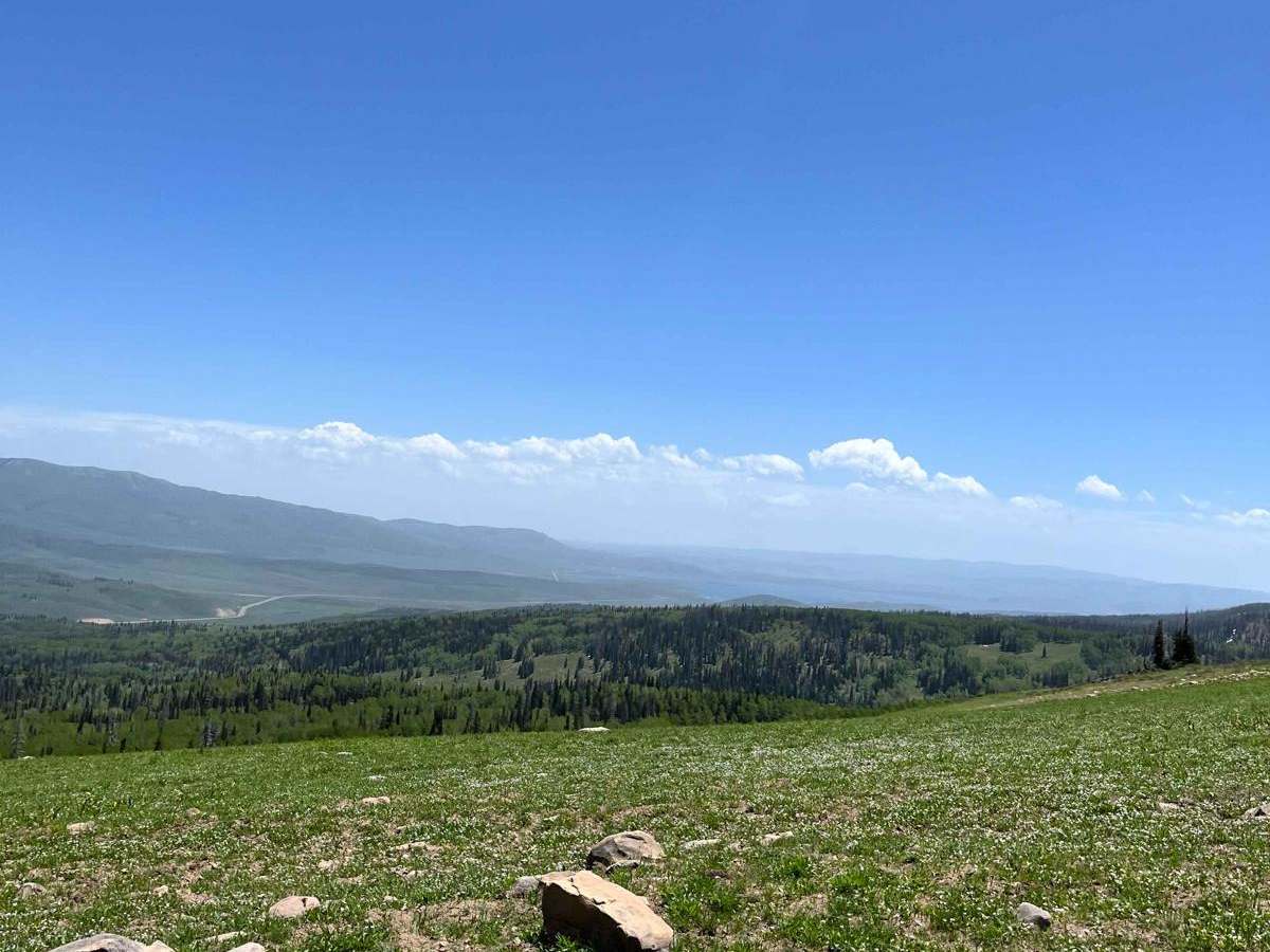 Strawberry Mountain photo 4