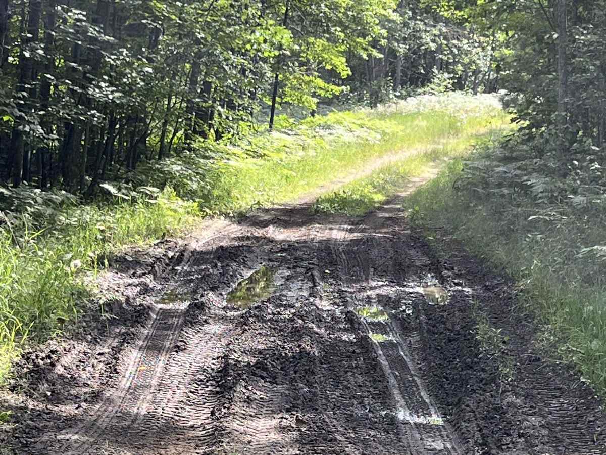 Boiling Springs Loop photo 4