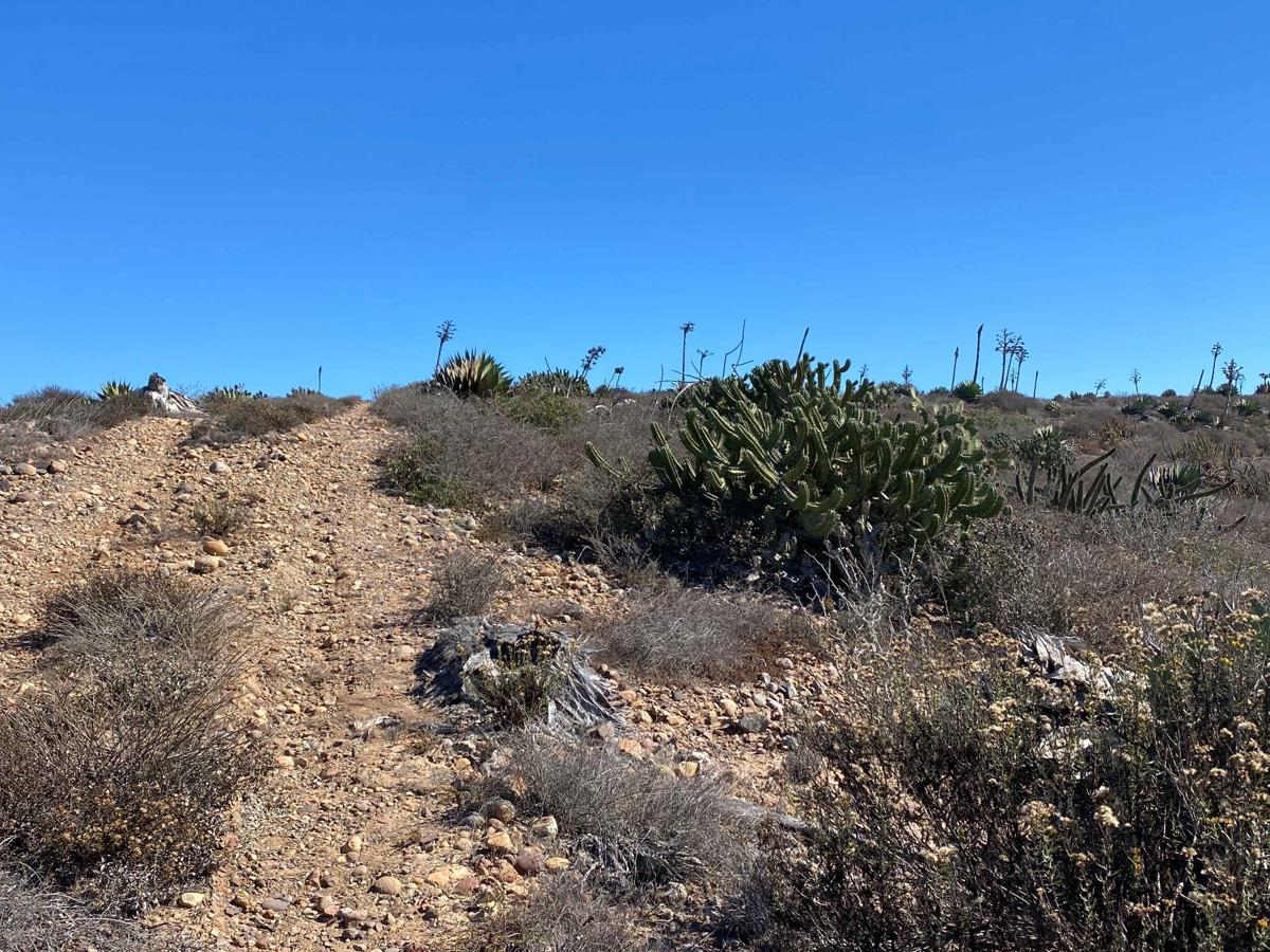 Mesa Redondo photo 5
