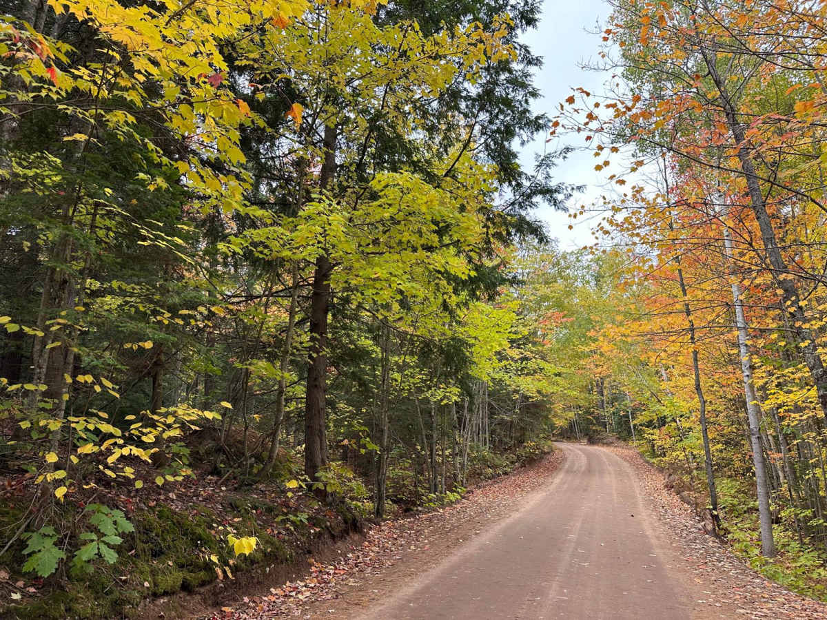 Forestville Road trail photo