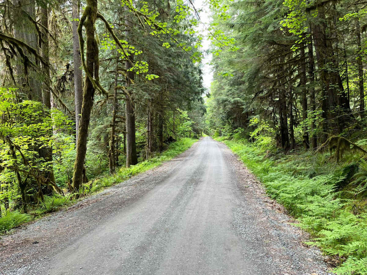 Cascade River Road photo 2