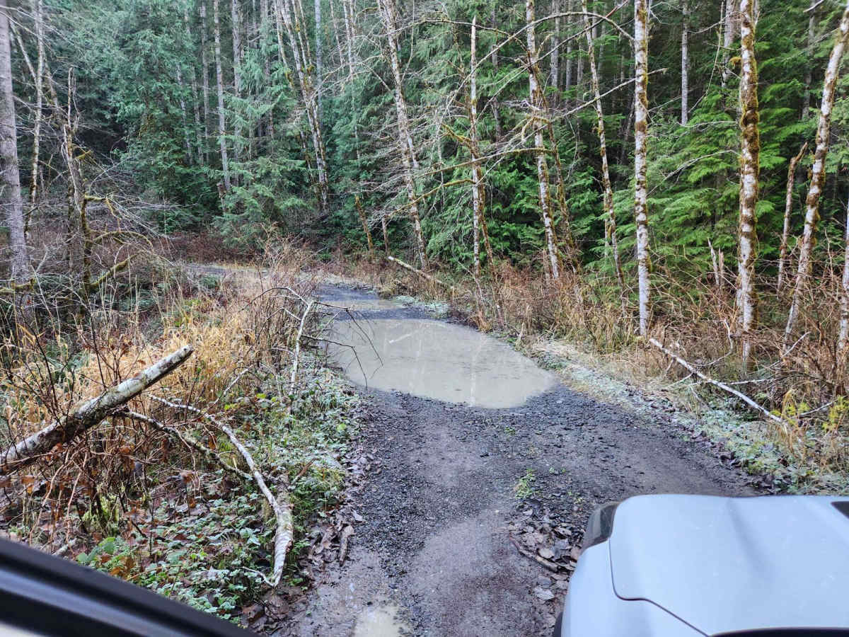 NF 2581 - Puddlejumper photo 3