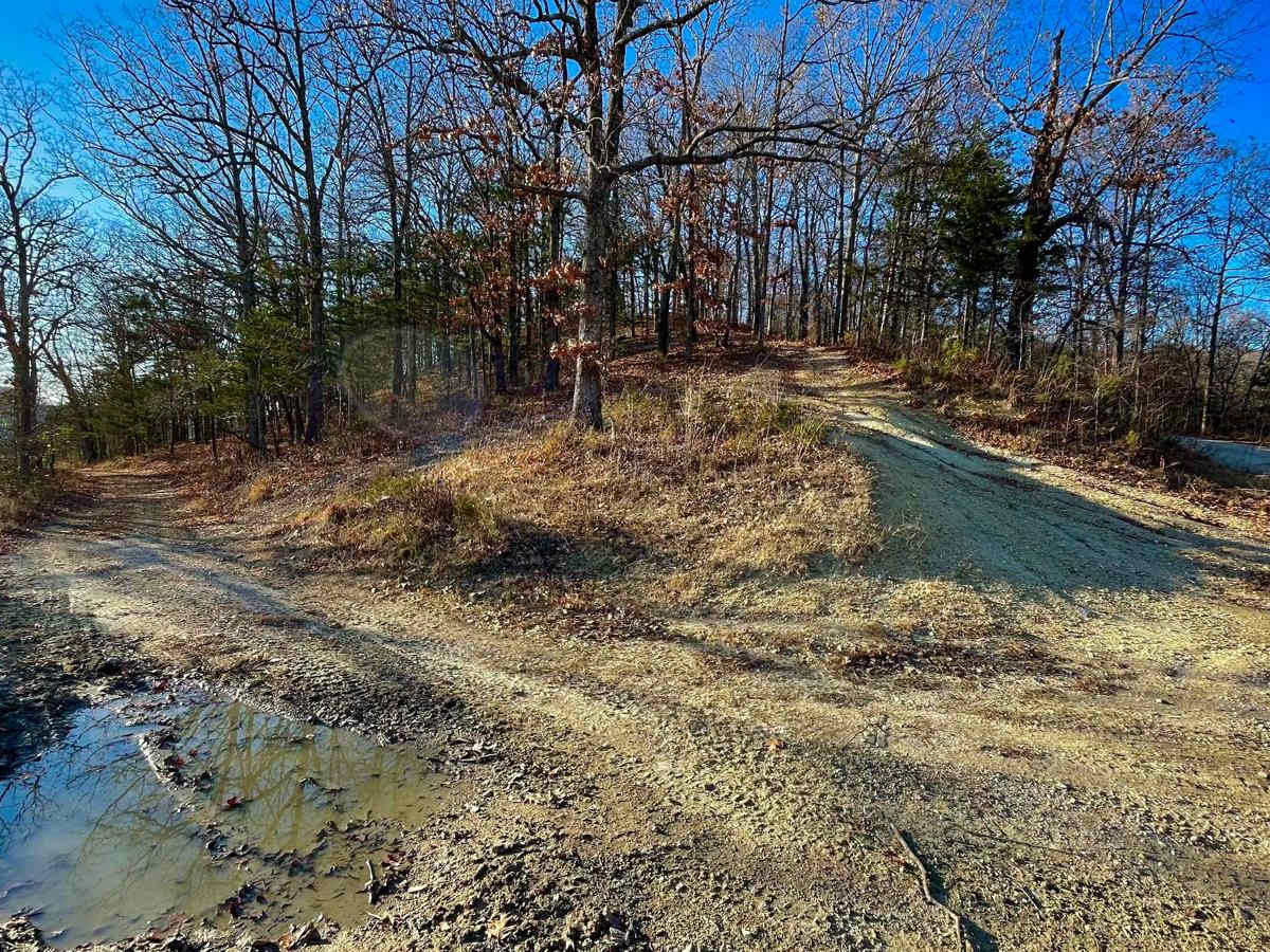 Devreaux Ridge Road photo 5