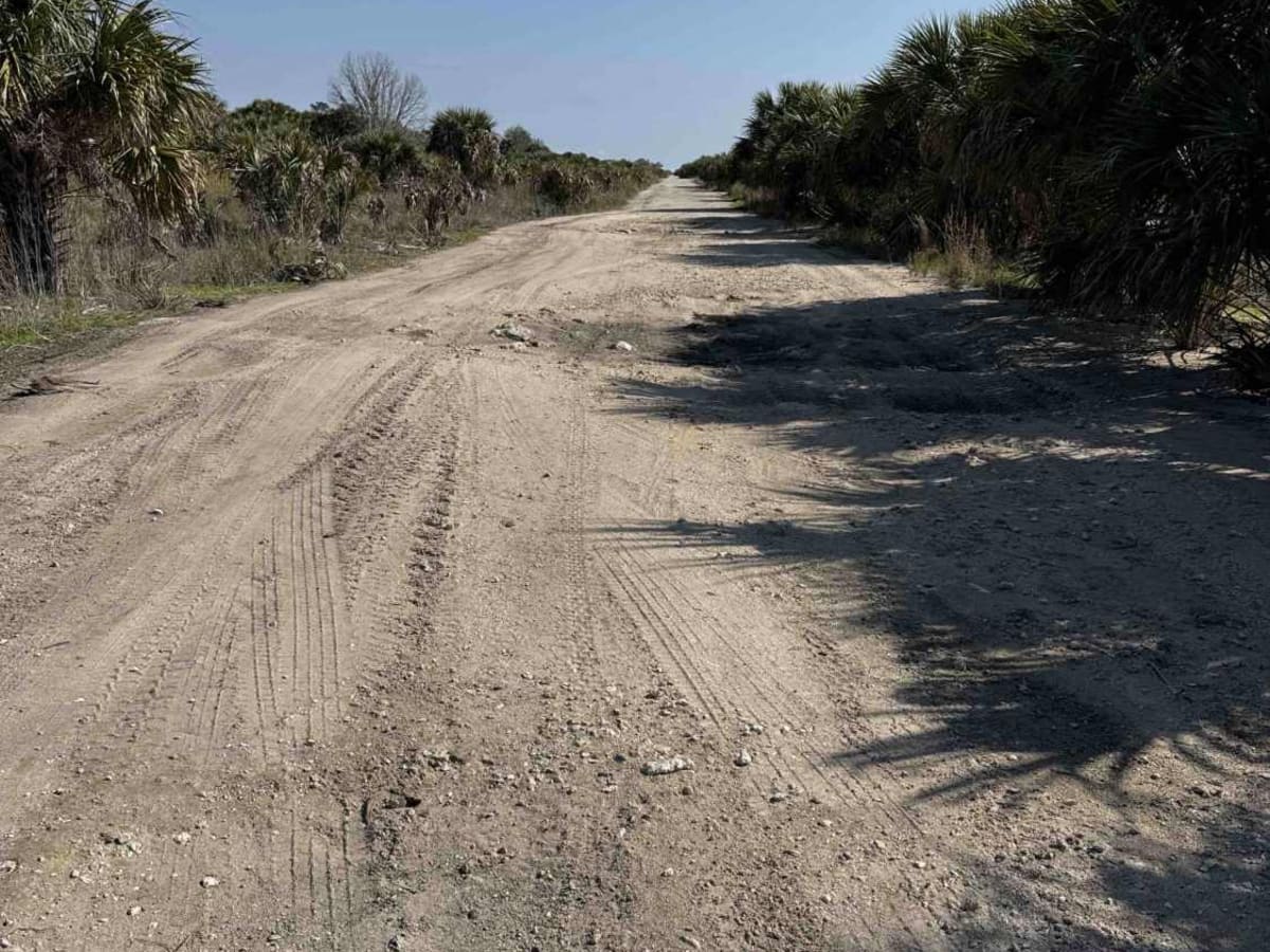 Stewart Boulevard photo 5