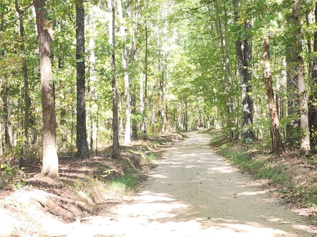 Dutch Potts Hollow Road photo 4