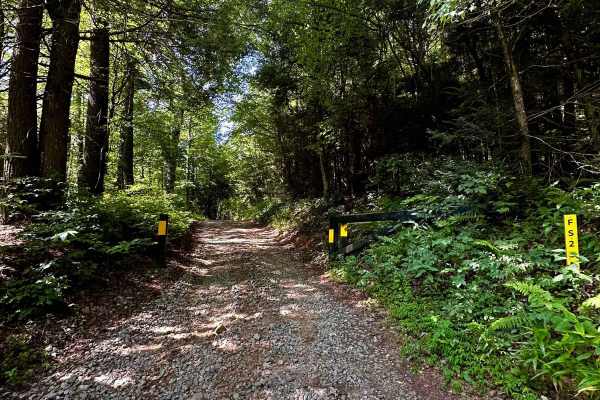 Long Creek Trail