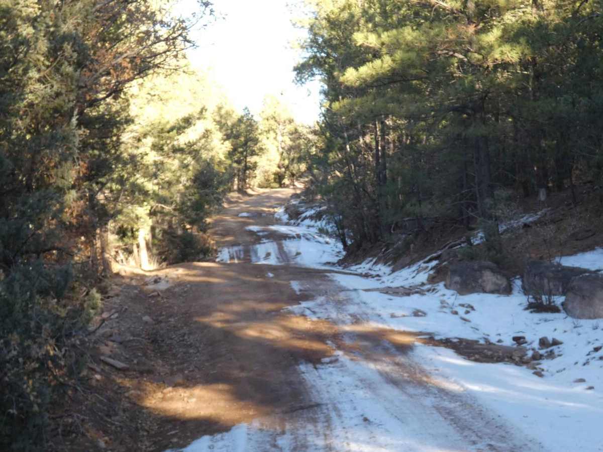 Cow Creek Loop photo 5
