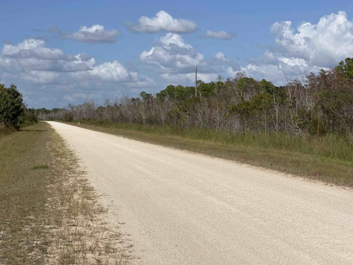 Birdon Road - CR 841 photo 5