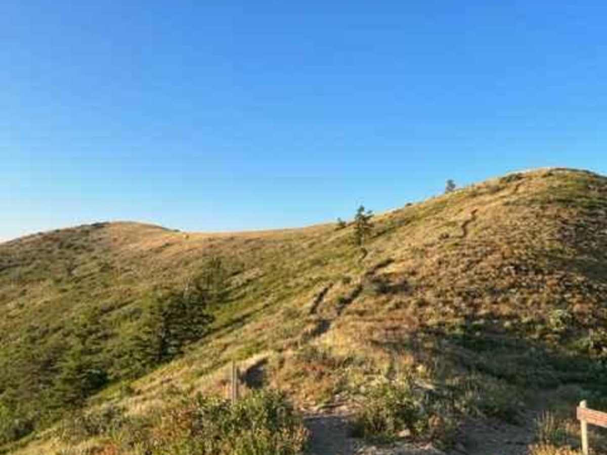 Lewis Peak (6041) photo 2