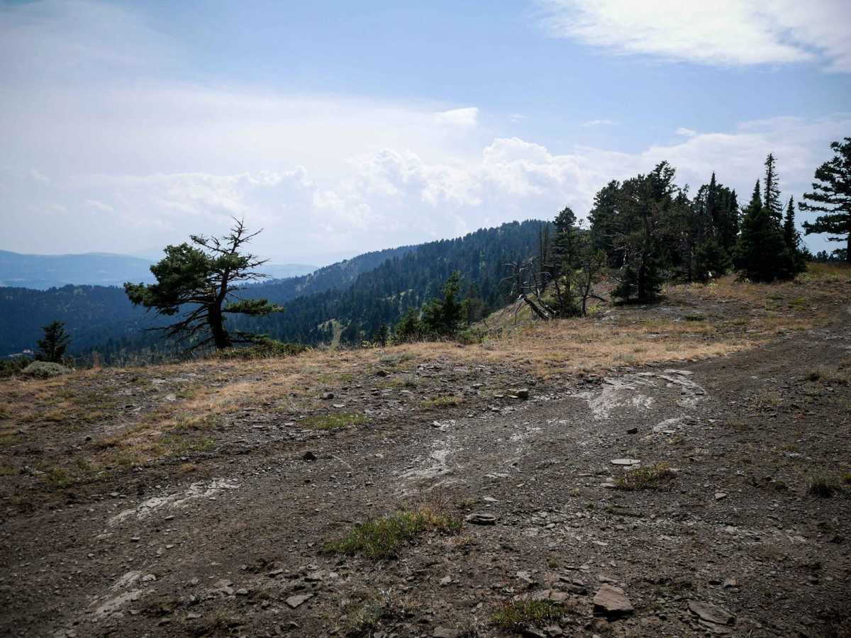 Jackson Creek ATV photo 3