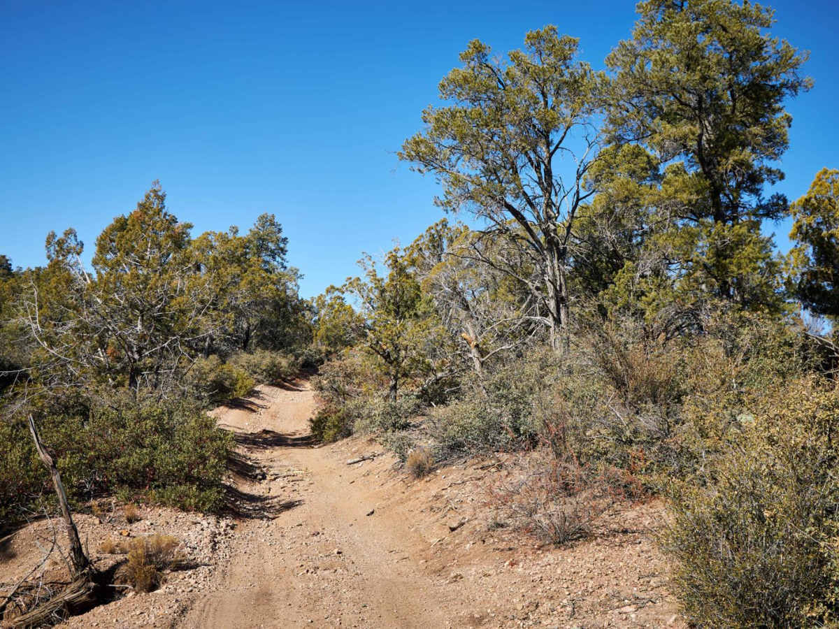 Brushy Basin photo 4