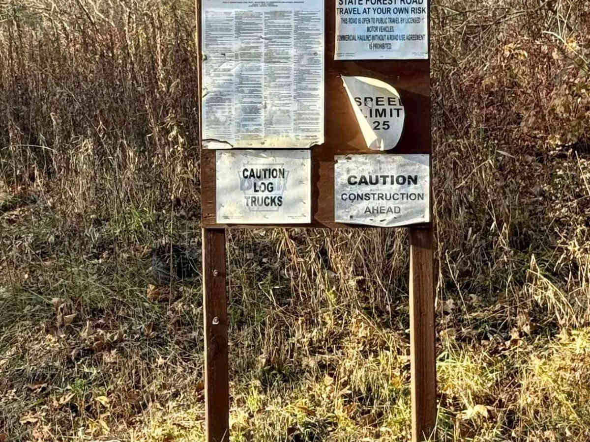 Beech Creek Road trail photo