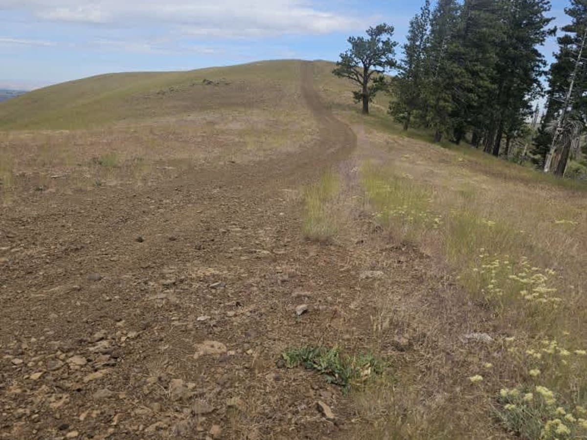 Ables Ridge photo 4